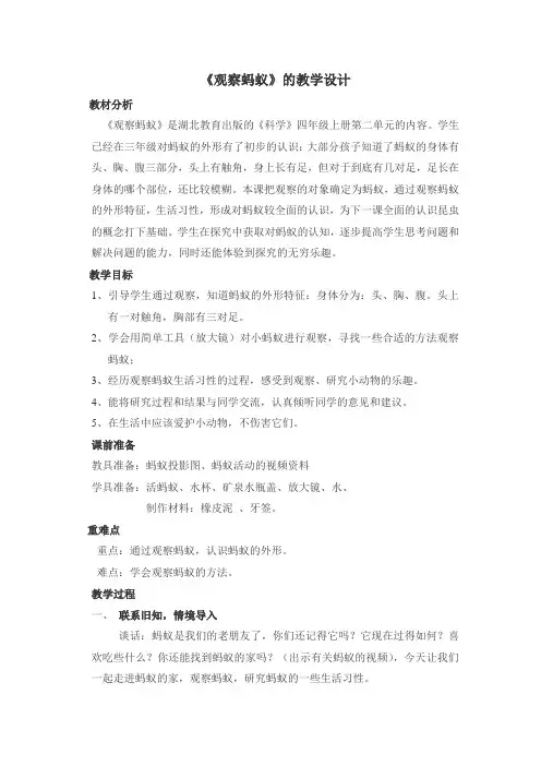 《观察蚂蚁》的教学设计