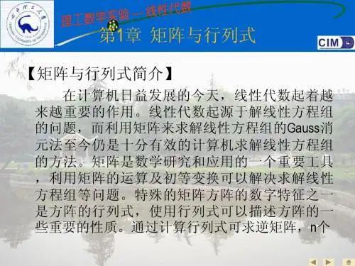 线性代数
