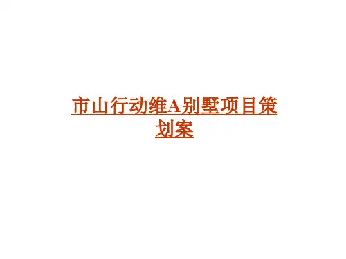别墅营销计划