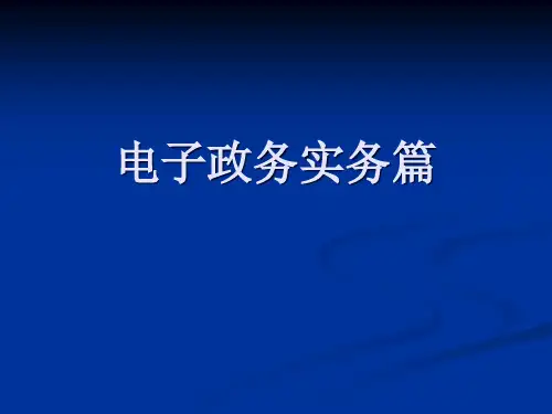 电子政务实务篇