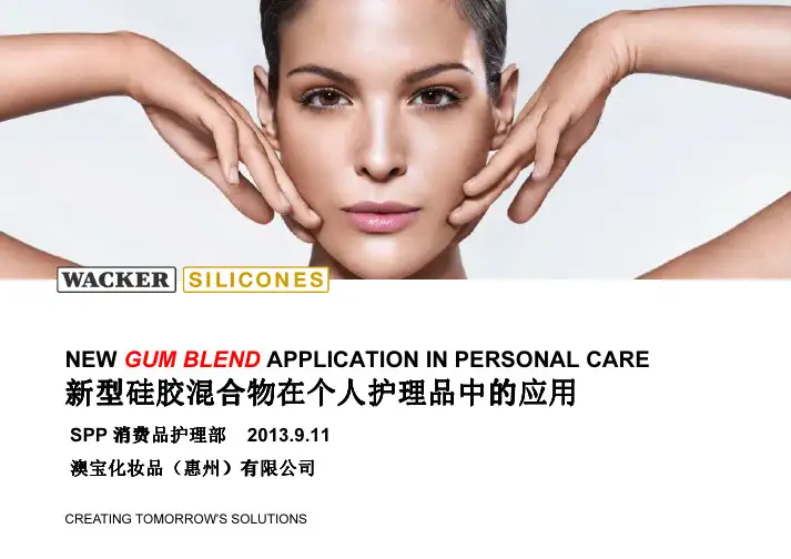 5-瓦克新型硅胶混合物BELSI L__GB_1020介绍