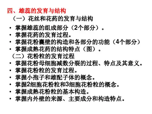 花(2)雄蕊的发育与结构