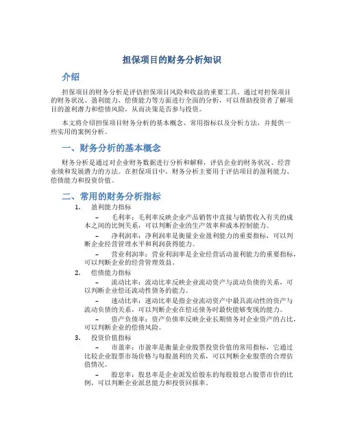担保项目的财务分析知识