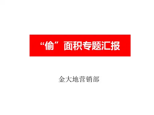 偷面积专题研究二