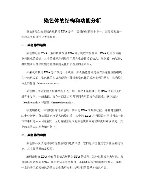染色体的结构和功能分析