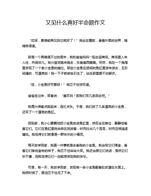 又见什么真好半命题作文