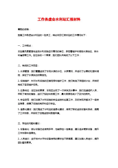 工作务虚会水利站汇报材料