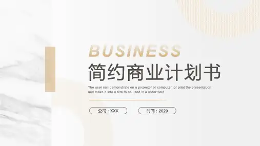 简约淡雅白金配色商业计划书PPT模板