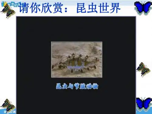 1.2昆虫的生殖和发育