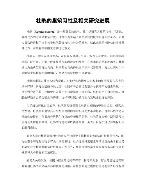 杜鹃的巢筑习性及相关研究进展