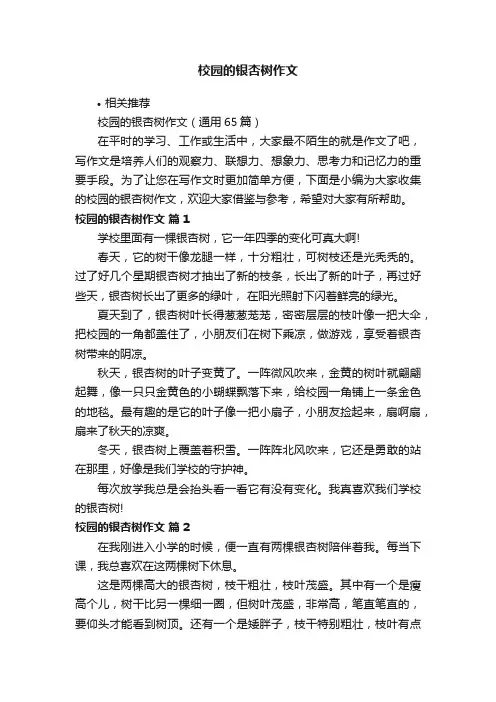 校园的银杏树作文
