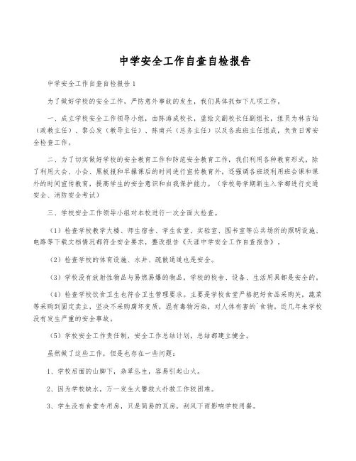 中学安全工作自查自检报告