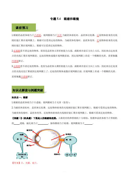 2019-2020学年人教版八年级上册物理精讲精练5-4 眼睛和眼镜(含答案解析)