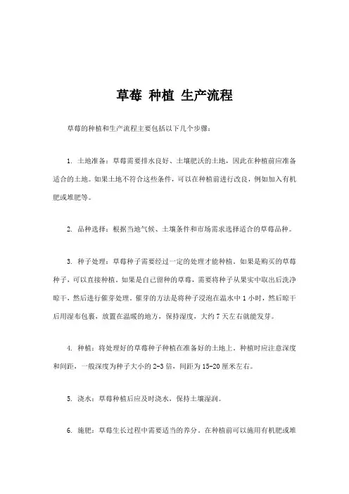 草莓 种植 生产流程
