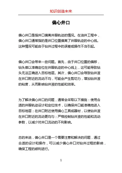 偏心井口 (2)