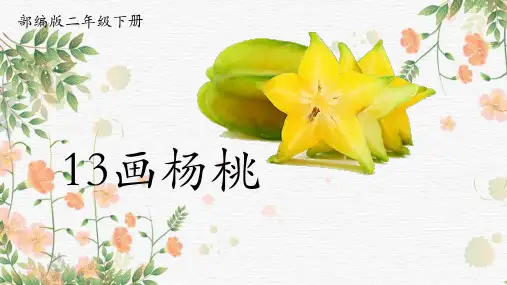 13-画杨桃-课件(共18张PPT)