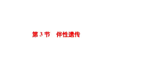 高中生物人教版(2019)必修2第2章第3节伴性遗传