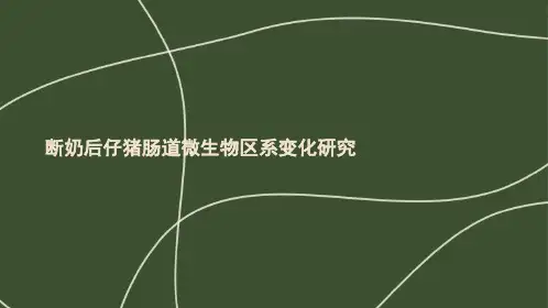 断奶后仔猪肠道微生物区系变化研究
