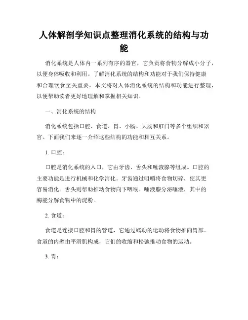 人体解剖学知识点整理消化系统的结构与功能