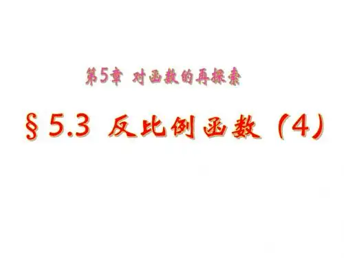 5.3《反比例函数》(第4课时)课件 青岛版