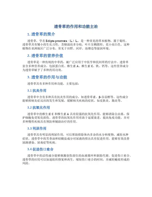 透骨草的作用和功能主治