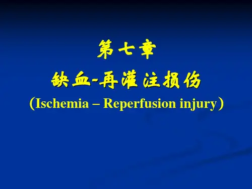 缺血-再灌注损伤医学教学课件