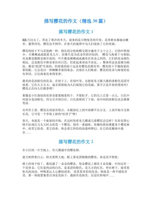 描写樱花的作文(精选30篇)