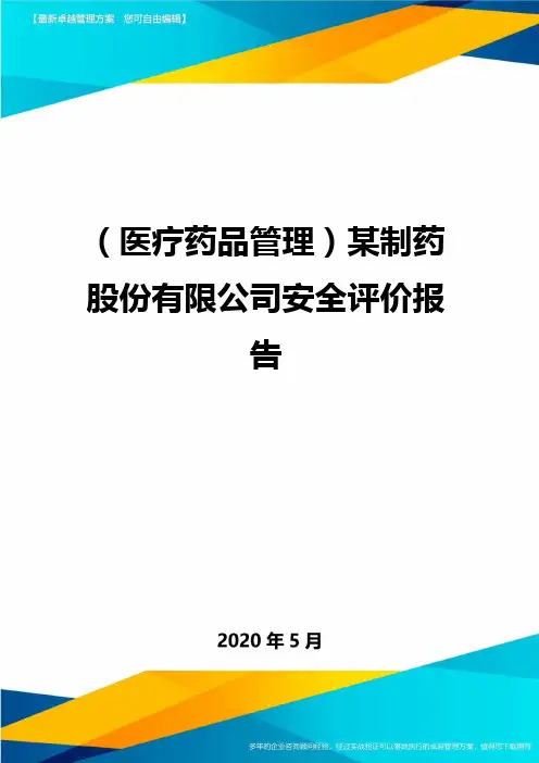 (医疗药品管理)某制药股份有限公司安全评价报告