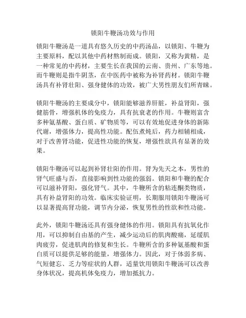 锁阳牛鞭汤功效与作用