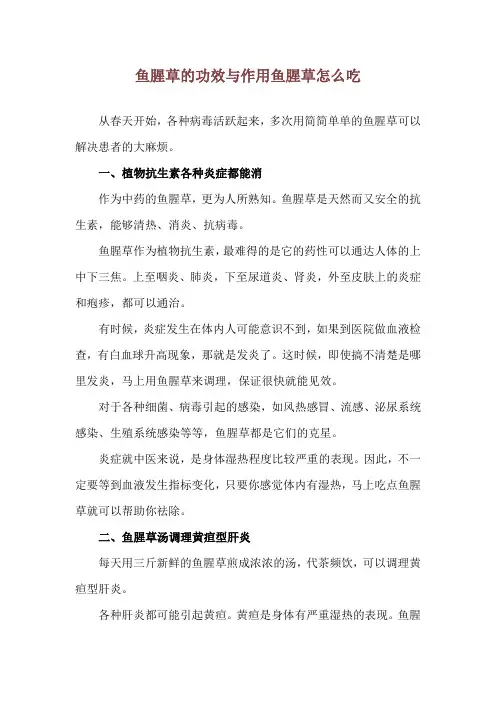 鱼腥草的功效与作用 鱼腥草怎么吃