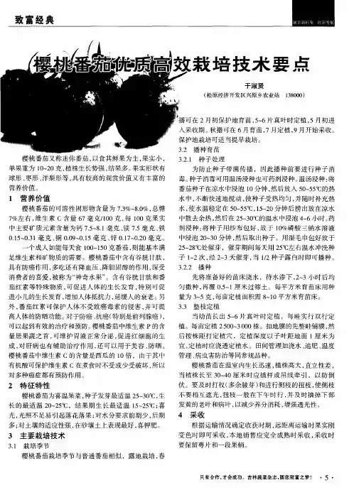 樱桃番茄优质高效栽培技术要点