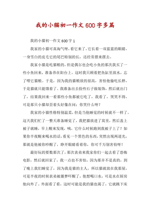 我的小猫初一作文600字多篇