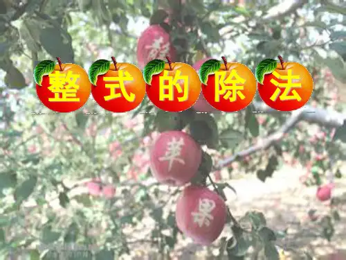 八年级数学《整式的除法》课件