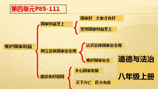 第四单元 维护国家利益 复习ppt（11张ppt）