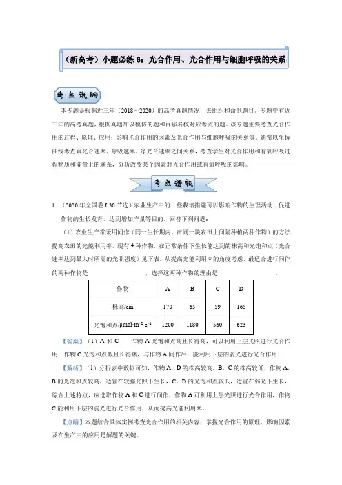 高中生物高考  2021届小题必练6 光合作用、光合作用与细胞呼吸的关系 教师版