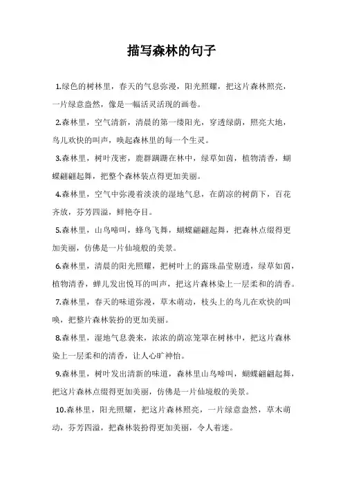 描写森林的句子