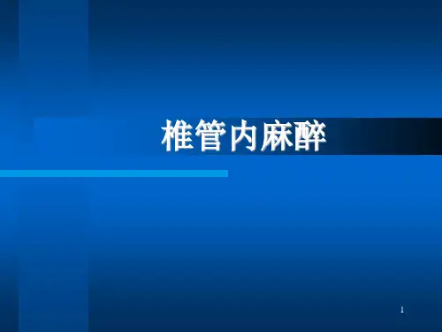 椎管内麻醉幻灯片课件