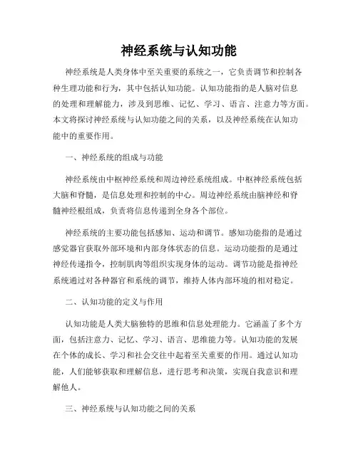神经系统与认知功能
