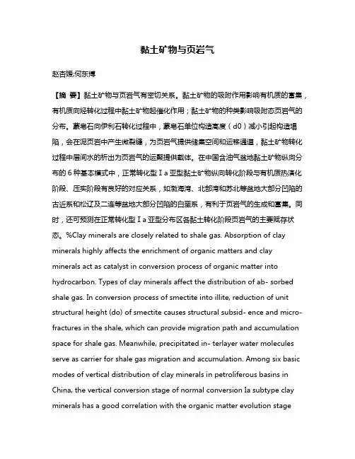 黏土矿物与页岩气