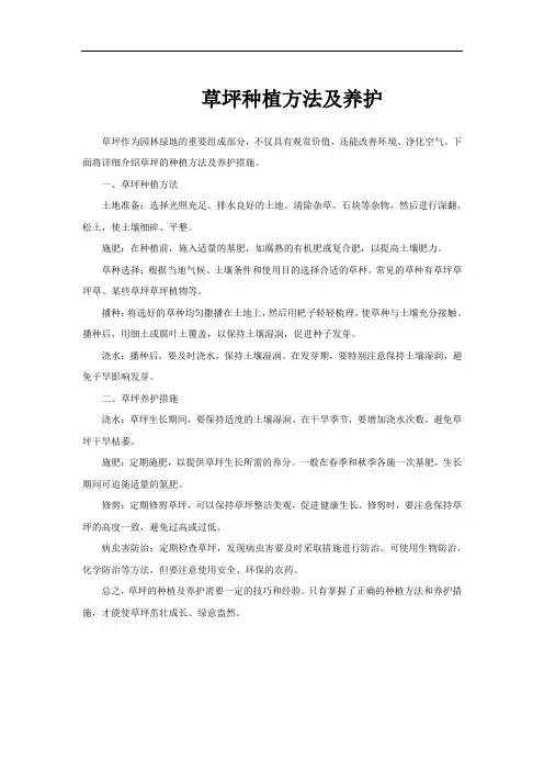草坪种植方法及养护