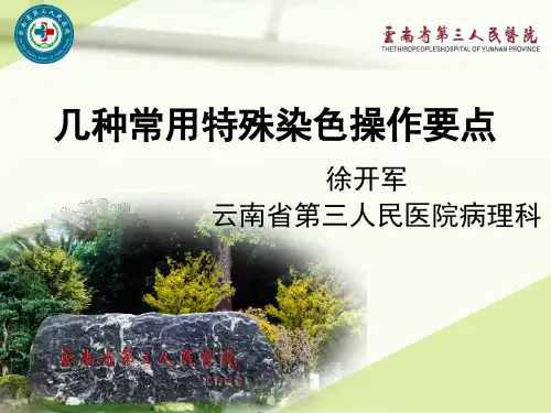 几种常用特殊染色操作过程中的要点
