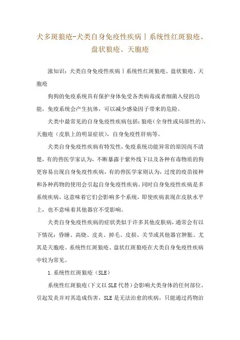 犬多斑狼疮-犬类自身免疫性疾病丨系统性红斑狼疮、盘状狼疮、天胞疮