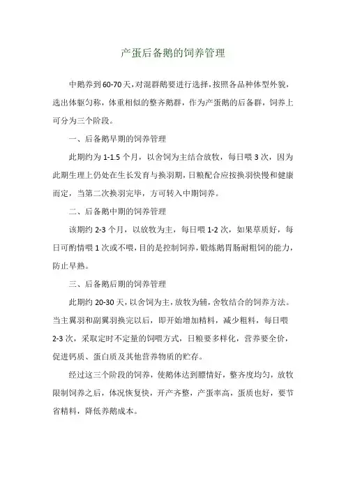 产蛋后备鹅的饲养管理