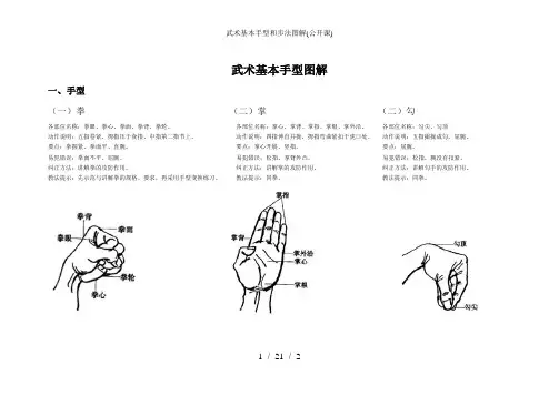 武术基本手型和步法图解(公开课)