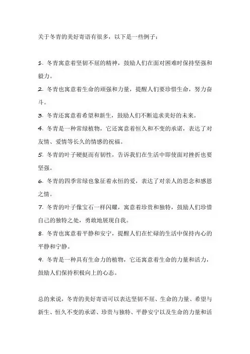 冬青的美好寄语
