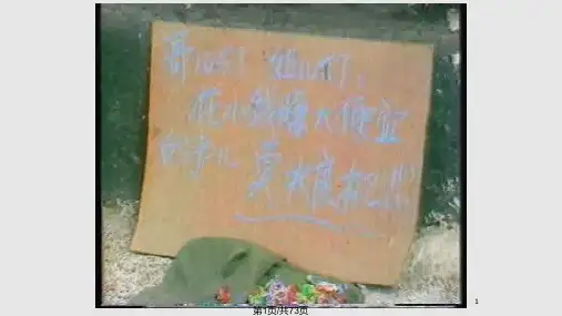 正态分布及抽样误差PPT课件