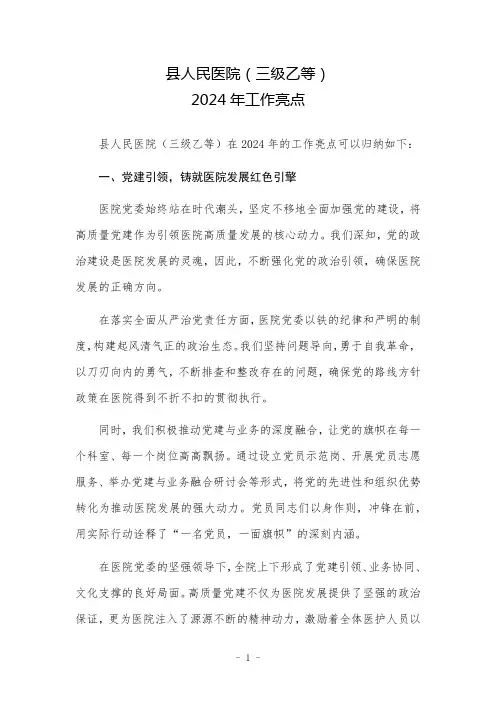县人民医院(三级乙等)2024年工作亮点