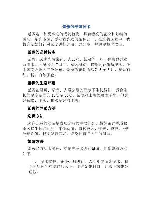 紫薇的养殖技术