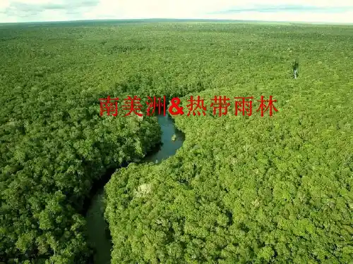区域地理——南美洲