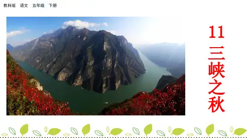 五年级下册语文课件-11 三峡之秋_教科版(共27张PPT)